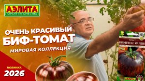 СОРТ томата из МИРОВОЙ КОЛЛЕКЦИИ! Красивый и вкусный биф-томат БИФШТЕКС МАРШИ