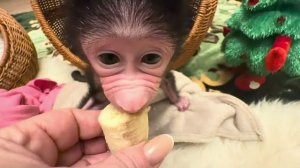 Это удивительно, Николь уже ест бананы! Малышка развивается не по дням, а по часам❤️