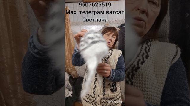 11.01.26 Пуховые носки ,перчатки ,следки ,варежки, шапки, жилетки, пряжа, пояса смотреть онлайн