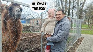 В Зоопарке 🐾🐺 At the zoo