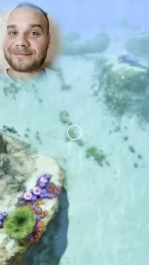 Что понравилось?