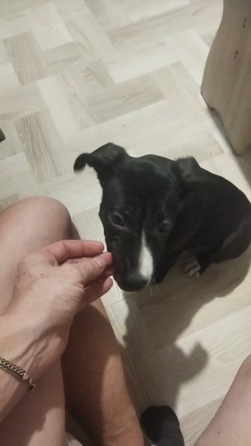 11-01-2026 смотреть онлайн