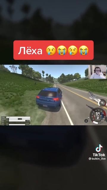ЛЕХААААААААААААААААААААААА (Автор булыч/Булкин) смотреть онлайн