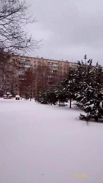 Moscow, Otradnoye district 10.01.2026
