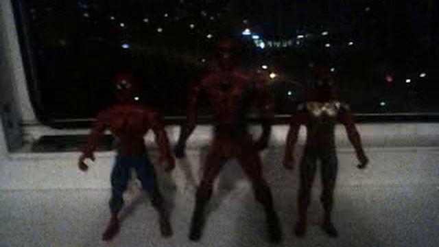 МОЯ КОЛЛЕКЦИЯ ПАУКОВ... (22.08.2025г)🕷🕷🕷🕷🕷🕷🕷🕷🕷🕸🕸🕸🕸 смотреть онлайн