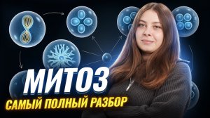 МИТОЗ | Самый полный разбор для ЕГЭ по биологии | Кристина Мельникова | Умскул