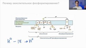 БИОХИМИЯ ПОЛНЫЙ КУРС | Лекция 3 | Дыхательная цепь | Оки?