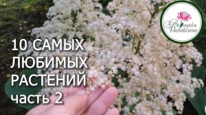 10 САМЫХ ЛЮБИМЫХ РАСТЕНИЙ ДЛЯ САДА. ЧАСТЬ 2