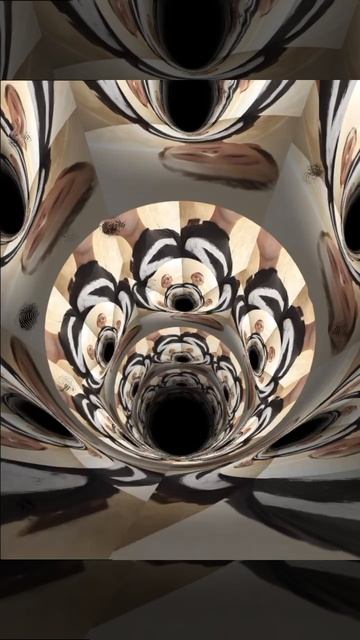 1000048770.mp4