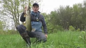 РЫБАЧИМ И НОЧУЕМ В ПАЛАТКЕ НА ДИКОЙ РЕКЕ! Ловим разную рыбу и готовим вкусный ужин. Рыбалка 2025.