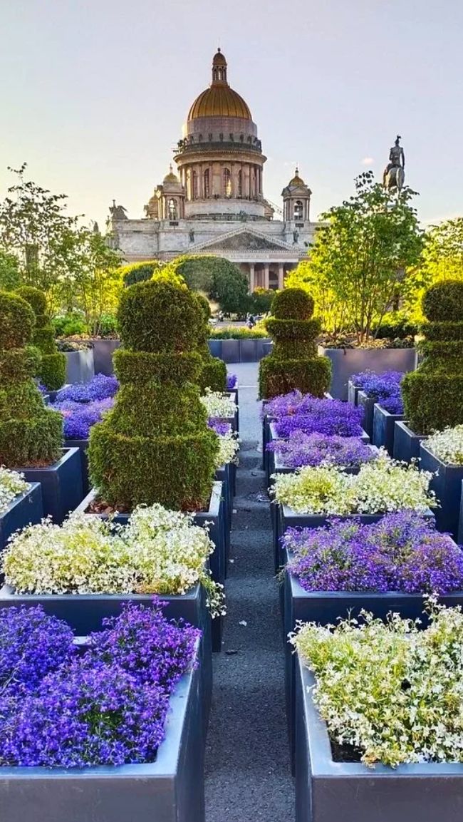 Сад -трансформер на Синем мосту в Петербурге смотреть онлайн