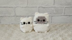 ВИДЕО-МК Котик квадратик микро