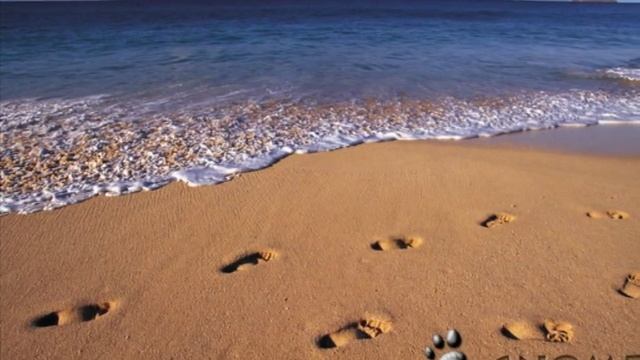 Берег моей мечты смотреть онлайн