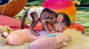 У нас с Николь ТИХОЕ УТРО, у малышки розовое утро с новыми игрушками!