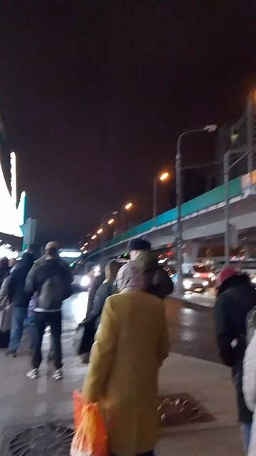 1000077218.mp4 смотреть онлайн