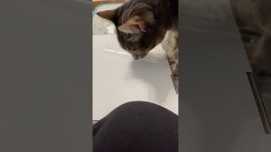 распоковка чееееек