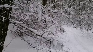 первый выезд на самодельных снегоходах январь 2026г