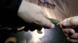 Первый опыт по ловле сига и пеляди на озере Сунгуль