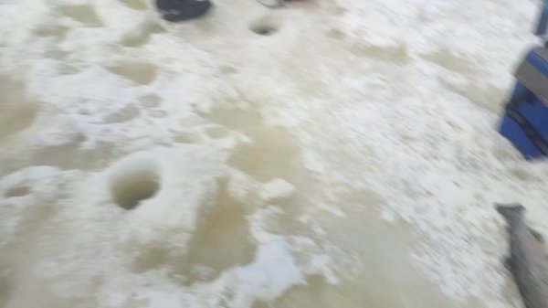 video5413330544555494814