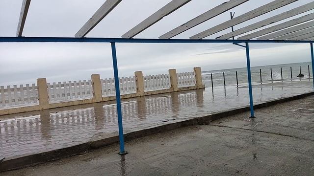 Анапа. Сегодня слегка штормит! Пляж Высокий Берег. 11 января 2026. 13.00 смотреть онлайн