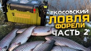 ЛОВЛЯ ФОРЕЛИ НА БЕЗЛИМИТЕ! "ТКОСОВСКИЙ"! Попал на раздачу!