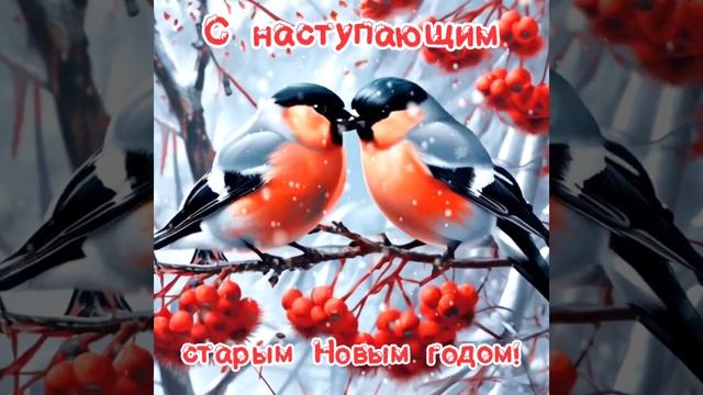 старый Новый год! смотреть онлайн