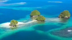 Благодари Творца