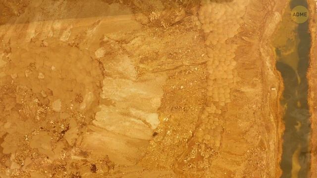 Каких динозавров вы смогли бы обогнать на беговой дорожке? смотреть онлайн