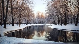 Рыма Чек- хочет быть обзорщиком, который будет врать и обманывать