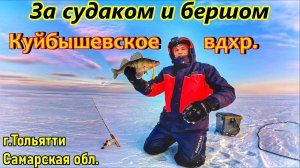 СУДАК И БЕРШ НА КУЙБЫШЕВСКОМ ВДХР/ЛОВЛЯ НА ВИБЫ/РЫБАЛКА НА ВОЛГЕ/ЗИМНЯЯ ЛОВЛЯ СУДАКА/РЫБАЛКА В РФ