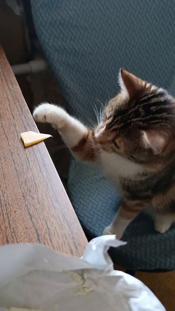 то ли скромная, то ли воспитанная смотреть онлайн