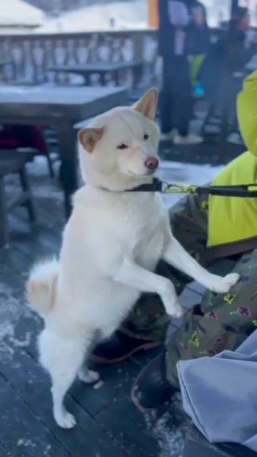 Говорю же, не хочу кататься с горки!.. смотреть онлайн