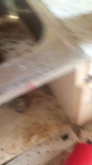 Ужас как можно было так запустить ?.mp4