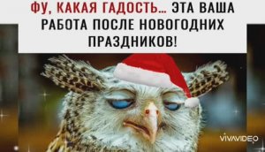 С ПЕРВЫМ РАБОЧИМ ДНЁМ ПОСЛЕ НОВОГОДНИХ ПРАЗДНИКОВ. УДАЧНОЙ РАБОЧЕЙ НЕДЕЛИ