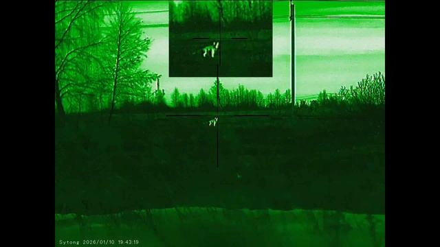 Тепловизионный прицел Sytong AM06-35 10.01.2026 смотреть онлайн