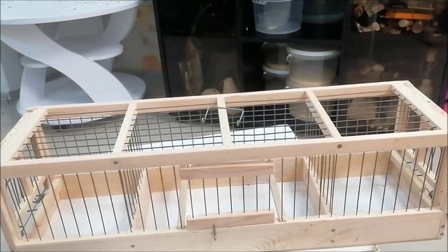 Купил Томский западок для ловли птиц смотреть онлайн