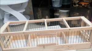 Купил Томский западок для ловли птиц