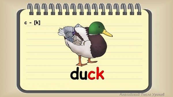 Правило чтения буквы C c. Reading Rules. Rainbow