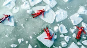 Унесенную во время айс-флоатинга туристку неделю ищут в Мурманской области