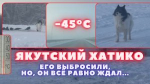 Машина скрылась в морозном тумане, оставив его умирать