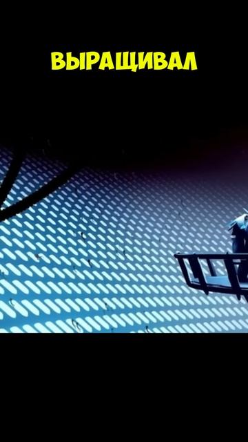 Клим Жуков как Жиллиман помог кустодиусам при помощи примарисов смотреть онлайн