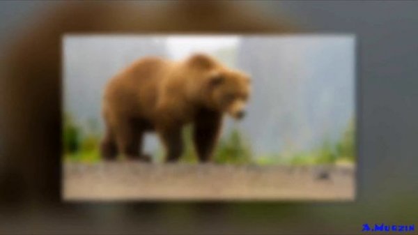 Stive Morgan - Extasy