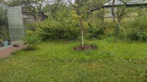 40-ДАЧА..Отпуск.. 2 часть(14.07.-18.07.21 )