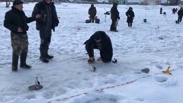 поимка форели на жерлицу смотреть онлайн