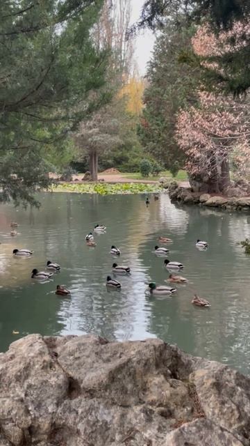 Симферополь 💖💖💖 смотреть онлайн