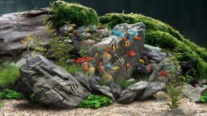 Уютный АКВАРИУМ в 4K UHD качестве. Релакс. Отдых.