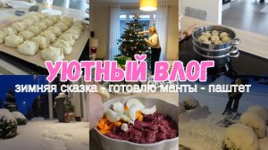 VLOG🇩🇪: ❄️СКОЛЬКО СНЕГА😍❄️УБИРАЮ ЁЛКУ 🎄ГОТОВЛЮ МАНТЫ И ПАШТЕТ