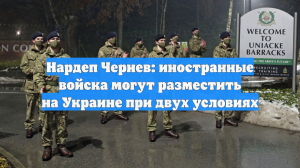 Нардеп Чернев: иностранные войска могут разместить на Украине при двух условиях