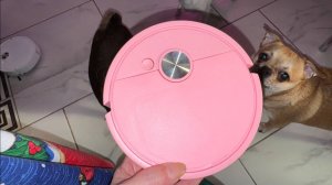 Мини пылесос - и всё-таки он работает.