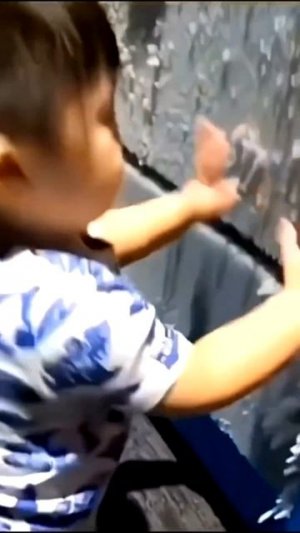 Телекомпания ВИД представляет🤣